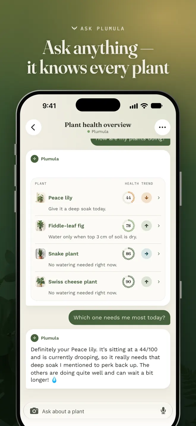 Chat: ask anything about your plant